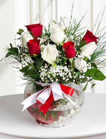 A�k K�resi  5 beyaz 5 k�rm�z� g�l fanusta  K�z�lay �i�ek online �i�ek sipari�i 