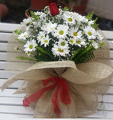 Papatya 1 adet kırmızı gül buketi  Ankara Kızılay çiçek servisi , çiçekçi adresleri 
