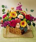  K�z�lay online �i�ek�i , �i�ek sipari�i  Sebboy Gerbera Karanfil tanzim