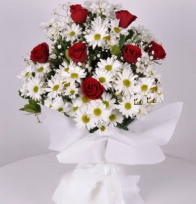 7 adet kırmızı gül ve papatyalar krizantem  Kızılay çiçek online çiçek siparişi 