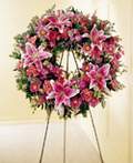  Ankara K�z�lay �i�ek , �i�ek�i , �i�ek�ilik   Ferforje Pembe kazablankadan
