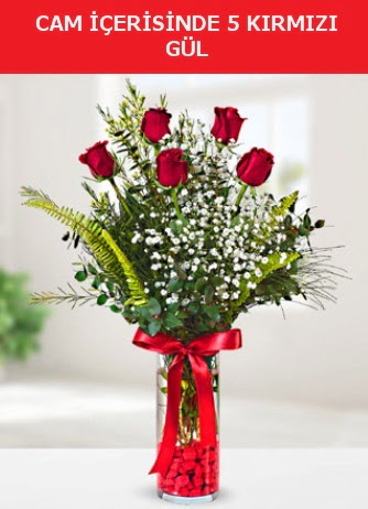 Cam içerisinde 5 adet kırmızı gül  Ankara Kızılay hediye sevgilime hediye çiçek 