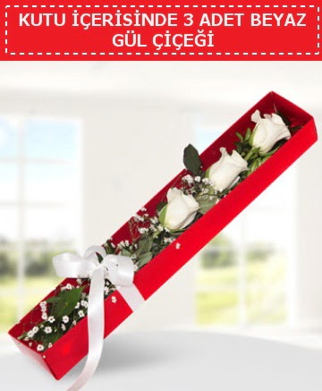 Kutu i�erisinde 3 adet beyaz g�l �i�e�i  Ankara K�z�lay yurti�i ve yurtd��� �i�ek sipari�i 