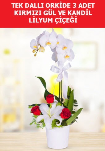 Tek dallı orkide 3 gül ve kandil lilyum  Ankara Kızılay internetten çiçek siparişi 