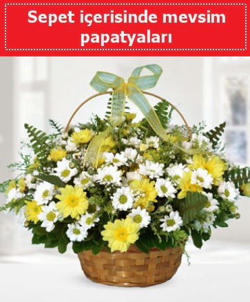 Sepet i�erisinde mevsim papatyalar�  K�z�lay uluslararas� �i�ek g�nderme 
