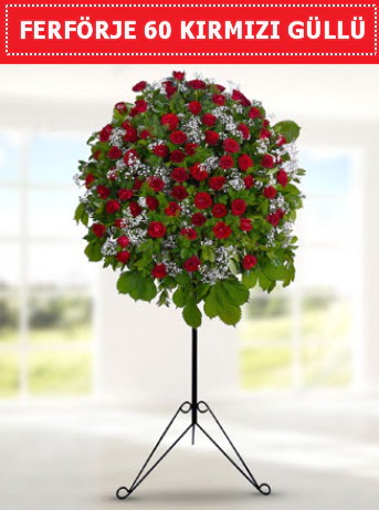 60 Adet k�rm�z� g�lden ferf�rje  K�z�lay uluslararas� �i�ek g�nderme 