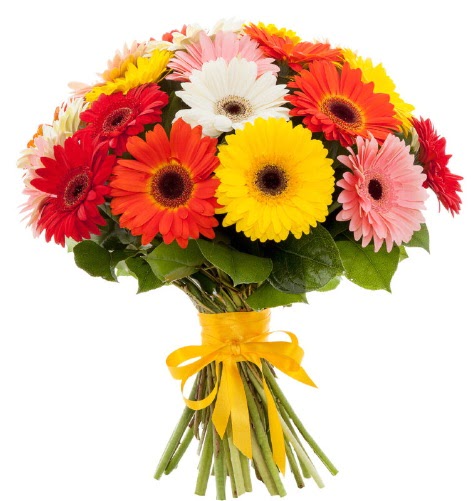 Gerbera demeti buketi  K�z�lay cicek , cicekci 