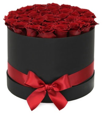 Siyah Kutuda 25 adet kırmızı gül  Kızılay çiçekçiler 