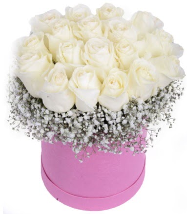 Renkli kutuda 19 adet beyaz gül  Kızılay çiçek online çiçek siparişi 