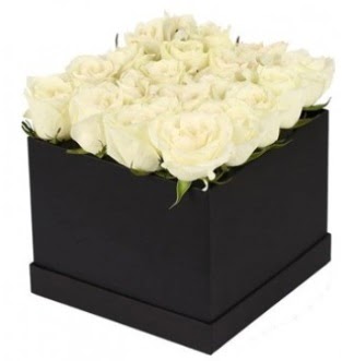 Kare kutuda 19 adet beyaz gül aranjmanı  Ankara Kızılay online çiçek gönderme sipariş 