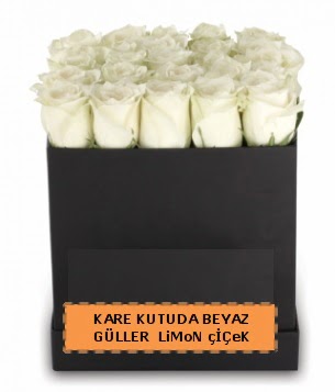 Kare kutuda 17 adet beyaz gül tanzimi  Ankara Kızılay hediye sevgilime hediye çiçek 