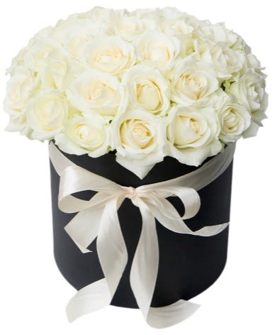 41 adet �zel kutuda beyaz g�l  K�z�lay cicek , cicekci  s�per g�r�nt� 