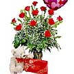 K�z�lay �i�ek�iler  �ikolata g�l oyuncak balon