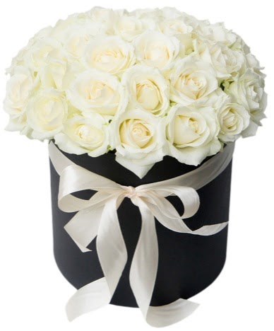 41 adet beyaz g�l kutuda s�z  K�z�lay cicek , cicekci  s�per g�r�nt�