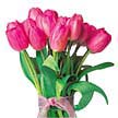  K�z�lay �i�ek sipari�i vermek  10 adet kalite pembe LaLe