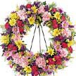  K�z�lay �i�ek ma�azas� , �i�ek�i adresleri  Mevsim �i�ekleri �elengi