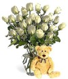  Ankara K�z�lay �i�ek yolla , �i�ek g�nder , �i�ek�i   Beyaz g�ller ve oyuncak
