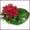  K�z�lay �i�ek g�nderme  12 adet g�l �zel bir buket
